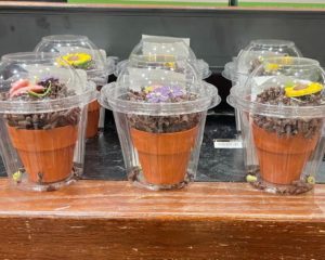 cupcakes in plastic packaging