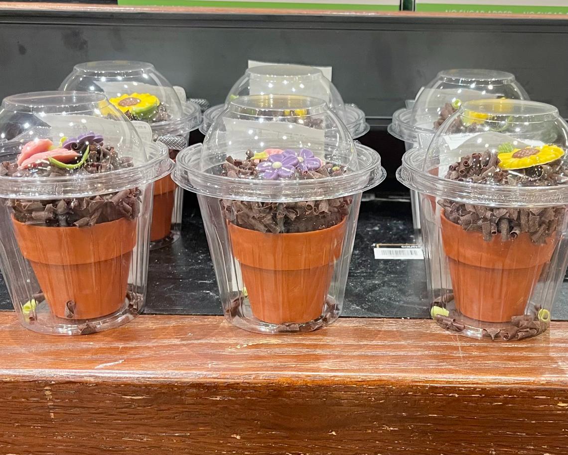 cupcakes in plastic packaging