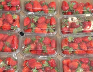 Plastic containers of strawberries https://pixabay.com/users/albanycolley-6298107/