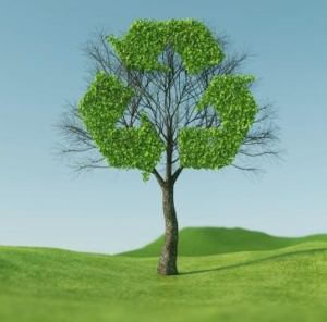 A tree with a recycle symbol in the middle of a grassy field https://pixabay.com/users/roadlight-15702095/