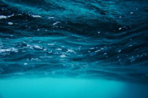 shot of underwater Photo by Emiliano Arano: https://www.pexels.com/photo/close-up-photo-of-water-1350197/