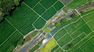 A aerial view of a farm picture: Photo by Tom Fisk: https://www.pexels.com/photo/bird-s-eye-view-of-river-in-middle-of-green-fields-1483880/