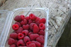 raspberries in plastic packaging