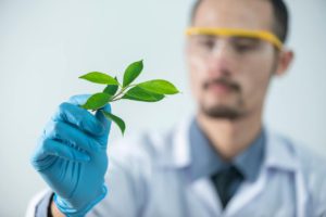 a scientist looking at leaves Photo by Daniel Dan: https://www.pexels.com/photo/orange-fruit-on-persons-hand-7543133/