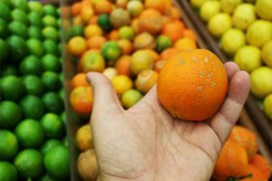 an orange that's going bad. Photo by Daniel Dan: https://www.pexels.com/photo/orange-fruit-on-persons-hand-7543133/