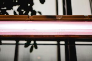 fluorescent light Photo by Eva Bronzini: https://www.pexels.com/photo/close-up-photo-of-a-pink-neon-light-7505602/