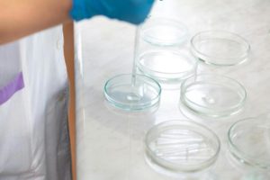 Petri dishes. Photo by Ivan Samkov: https://www.pexels.com/photo/a-person-holding-a-dropper-9628802/