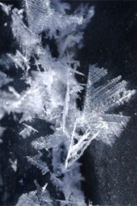 freezing crystals forming Photo by <a href="https://unsplash.com/@dcbelanger?utm_content=creditCopyText&utm_medium=referral&utm_source=unsplash">Danielle-Claude Bélanger</a> on <a href="https://unsplash.com/photos/a-close-up-of-a-snowflake-on-a-window-tTXLbyl2mT0?utm_content=creditCopyText&utm_medium=referral&utm_source=unsplash">Unsplash</a> 