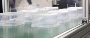 A row of polypropylene containers