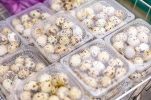 quail eggs in a plastic package. Photo by Sergei Starostin: https://www.pexels.com/photo/packaged-quail-eggs-in-market-display-29321534/